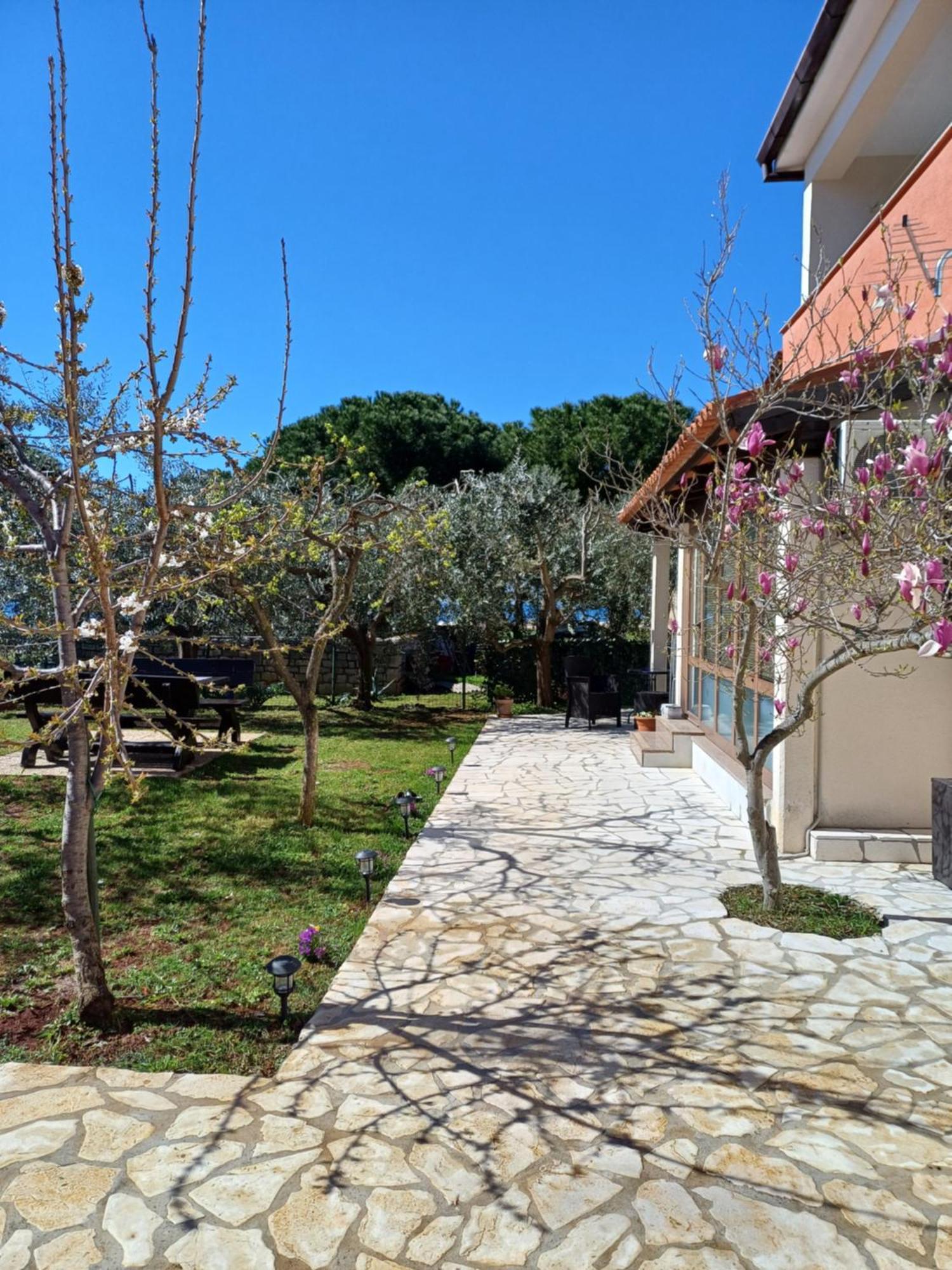 Apartments Grahovac Umag Eksteriør billede